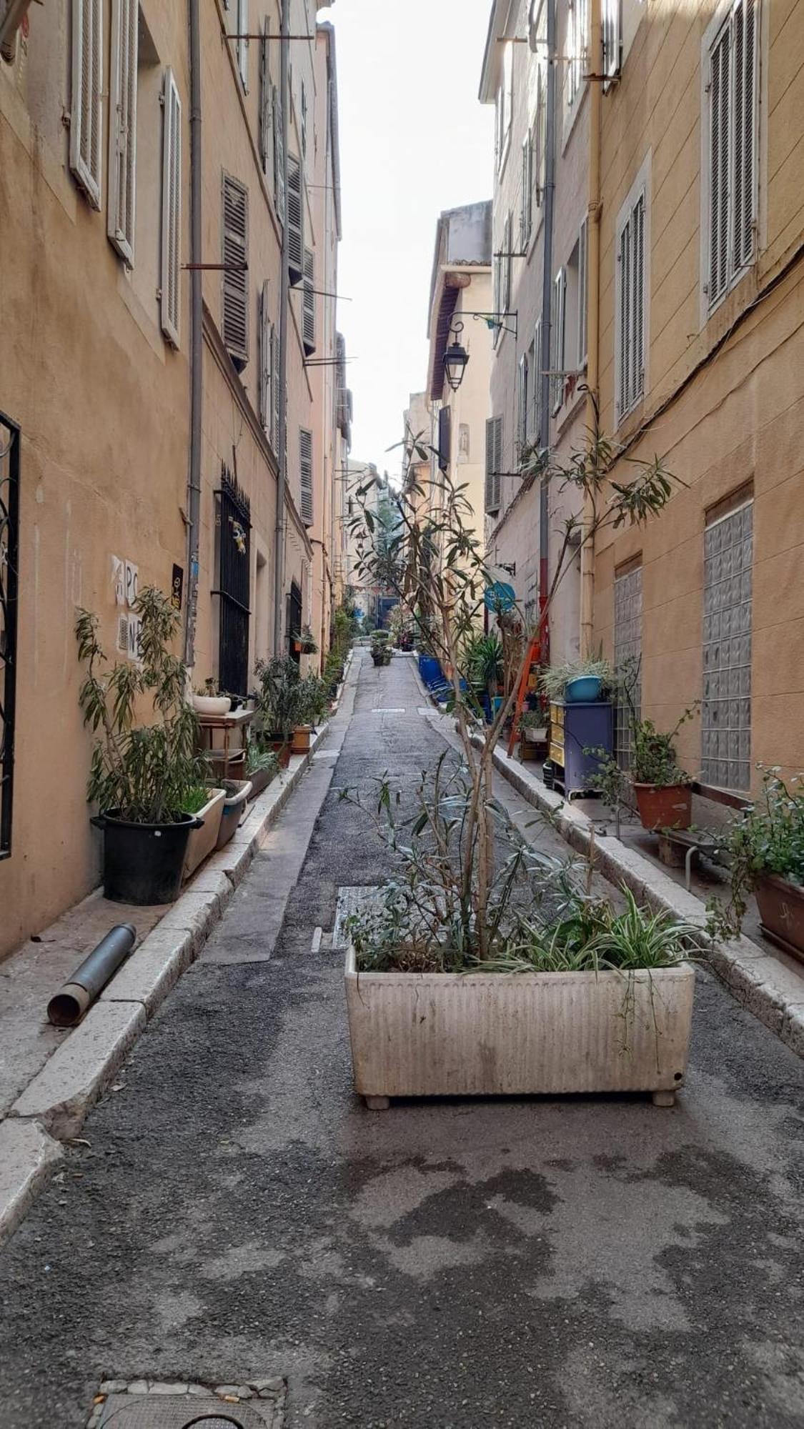 Le Cosy Apartman Marseille Kültér fotó
